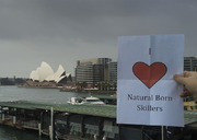 Photo submitted by Gdot7